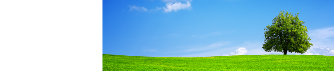 美容室　グリーングラス